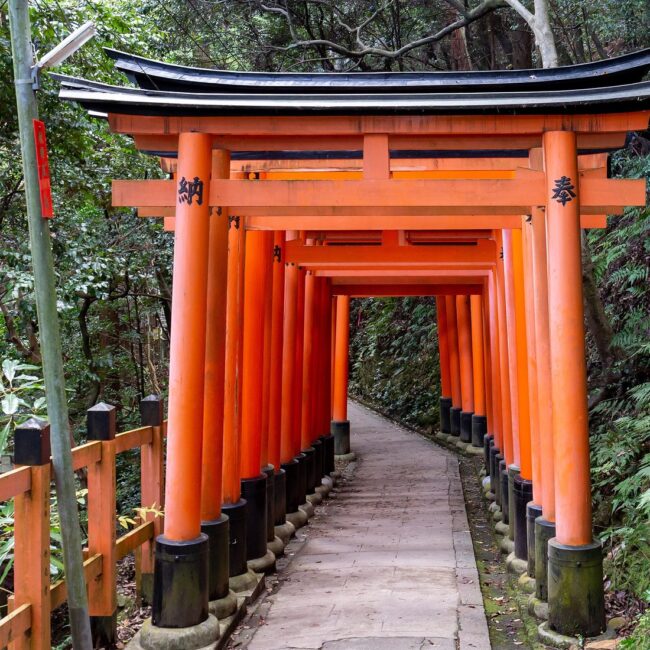 Vermilion torii gates lining the mountain path at Fushimi Inari Taisha, Kyoto