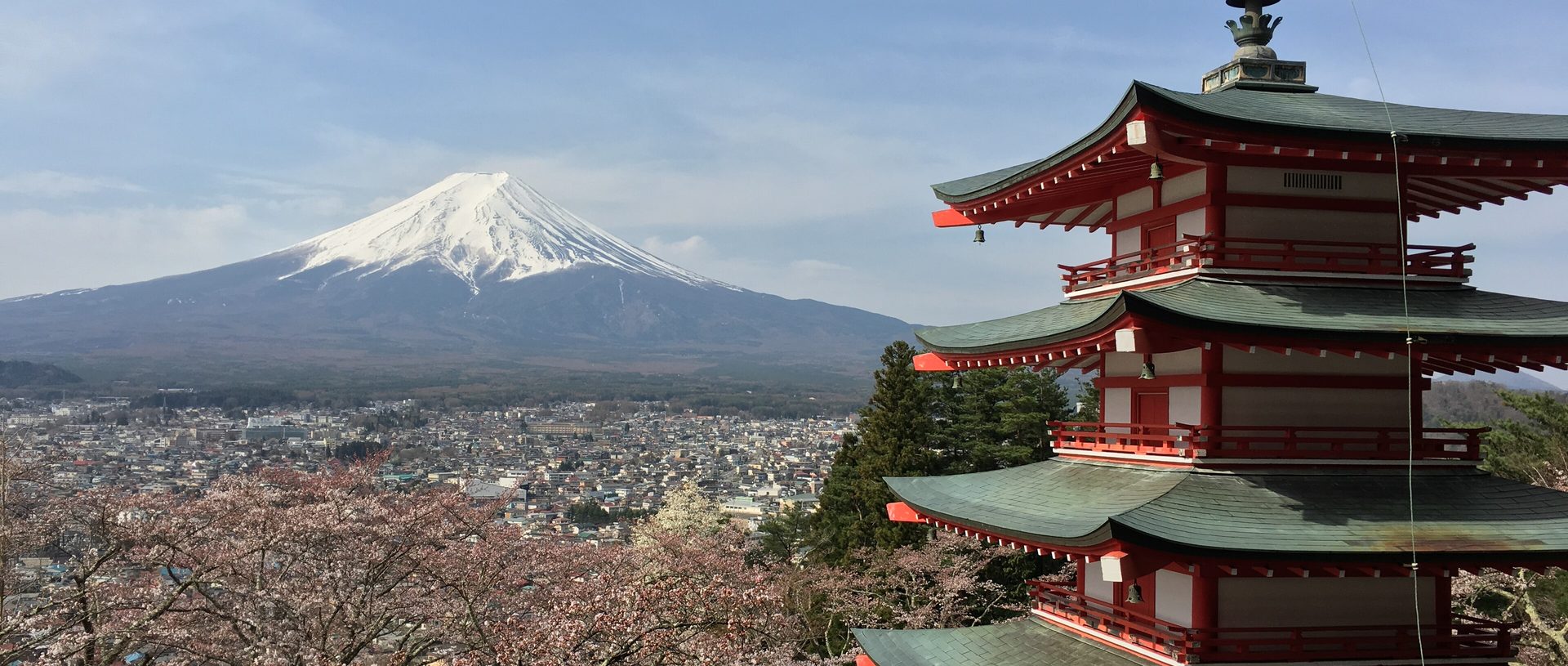 Chureito Pagoda framed by cherry blossom with Mount Fuji rising behind it, Fujiyoshida, Japan